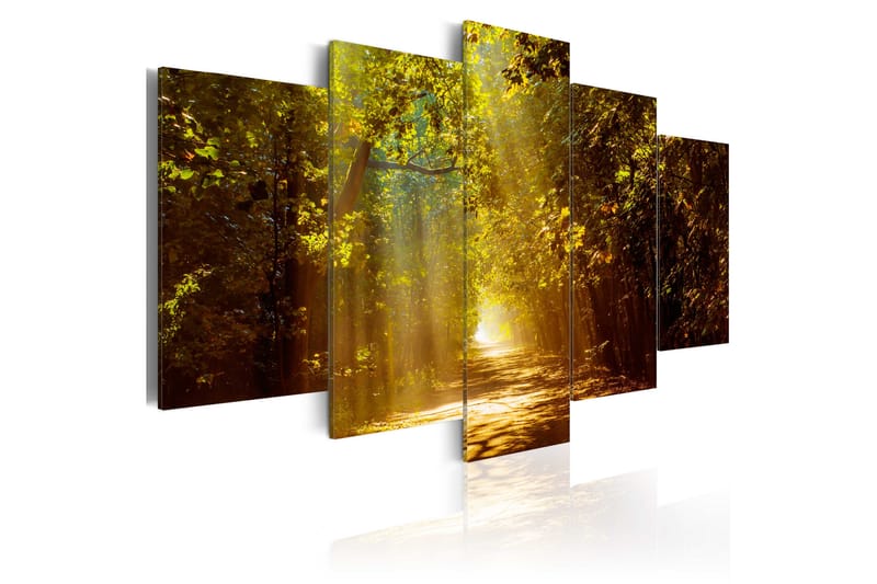 Tavla Forest In The Sunlight 100x50 - Artgeist sp. z o. o. - Canvastavla