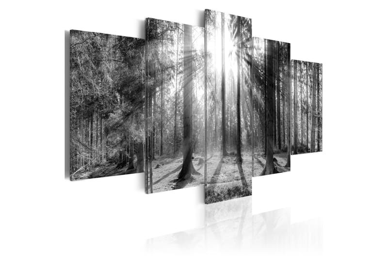 Tavla Forest Of Memories 200x100 - Artgeist sp. z o. o. - Canvastavla
