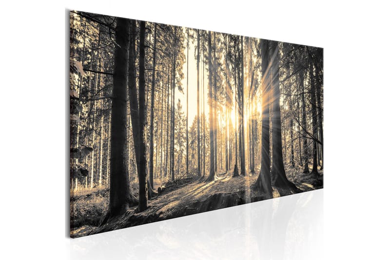 Tavla Forest Sun 150x50 - Artgeist sp. z o. o. - Canvastavla