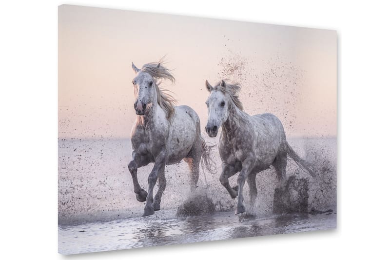 Tavla Horses 75x100 cm - Multifärgad - Canvastavla