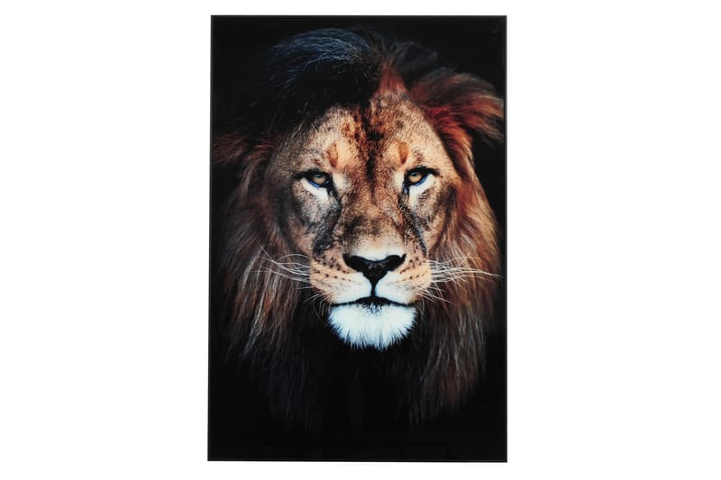 Tavla Lejon 80X120 Flerfärgad - 80x120 cm Flerfärgad - Inredning - Tavlor & posters - Canvastavla