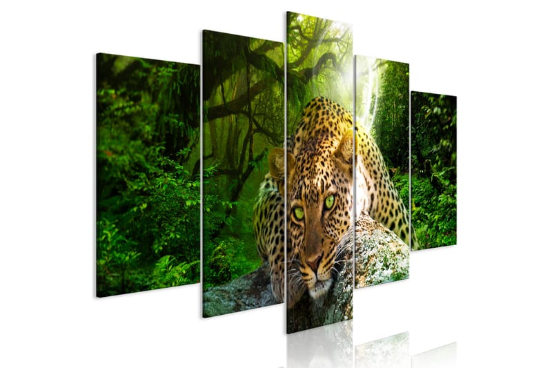 Tavla Leopard Lying 5 Parts Wide Green 100x50 - Artgeist sp. z o. o. - Canvastavla