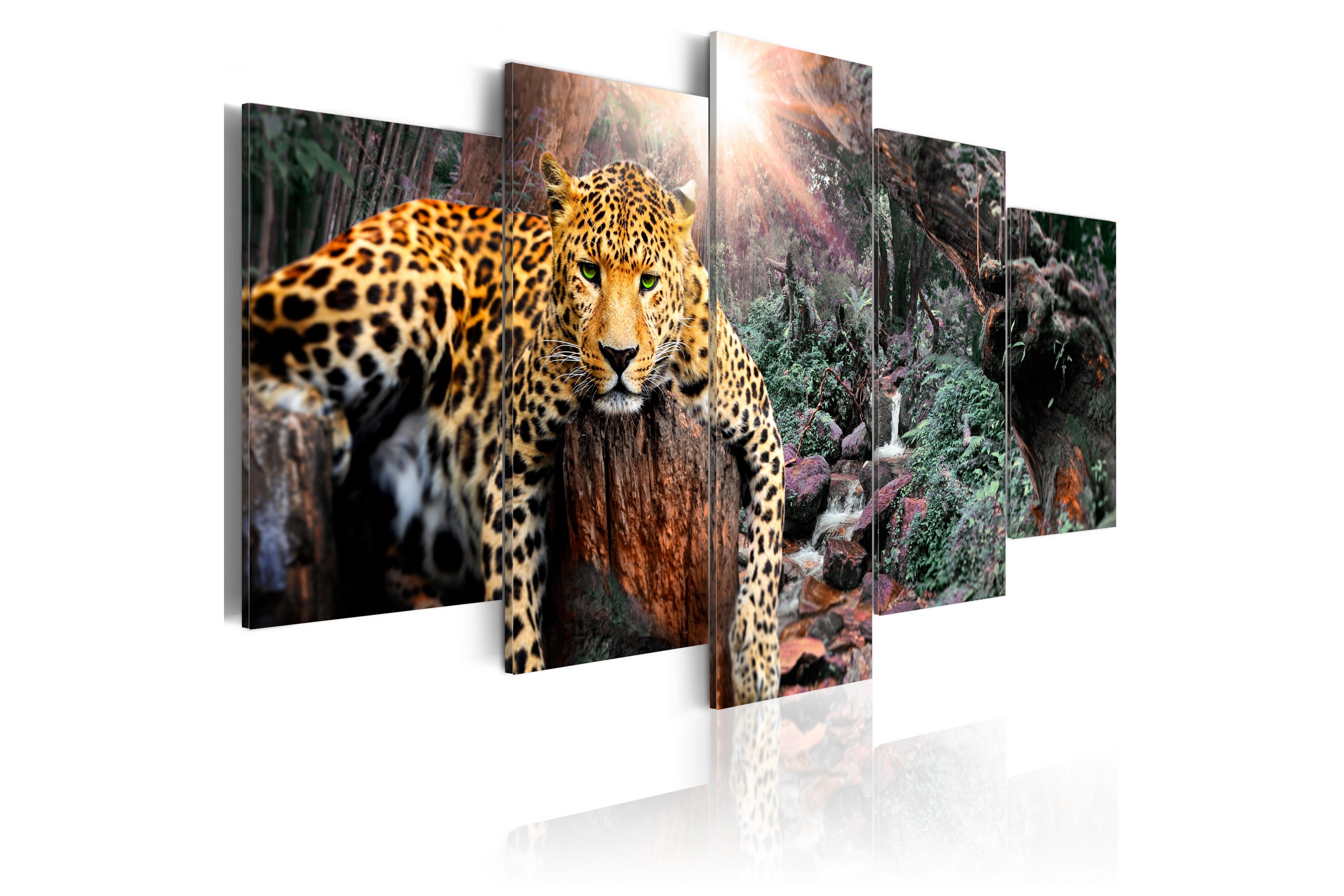 Tavla Leopard Relaxation 100x50 - Artgeist sp. z o. o.