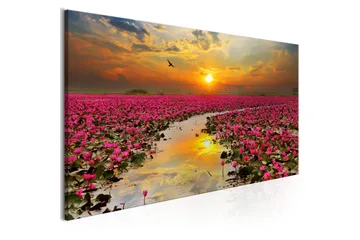 Tavla Lily Field (1 Part) Narrow VALUE_MISSING_3 120x40 - Inredning - Tavlor & posters - Canvastavla