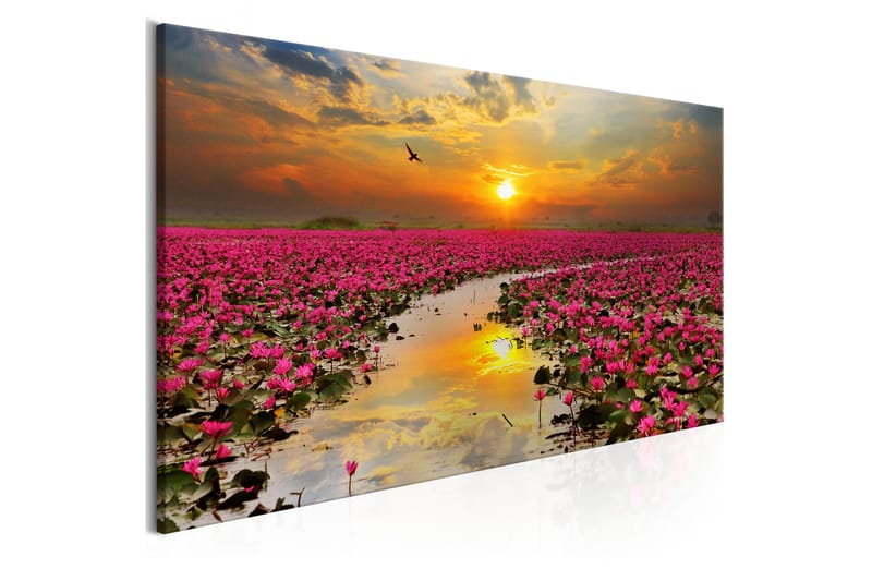 Tavla Lily Field (1 Part) Narrow VALUE_MISSING_3 120x40 - Inredning - Tavlor & posters - Canvastavla