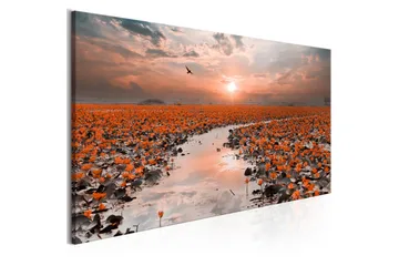 Tavla Lily Pathway (1 Part) Narrow VALUE_MISSING_2 120x40 - Inredning - Tavlor & posters - Canvastavla