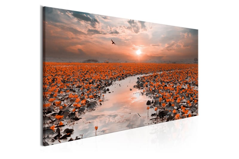 Tavla Lily Pathway (1 Part) Narrow VALUE_MISSING_2 120x40 - Inredning - Tavlor & posters - Canvastavla