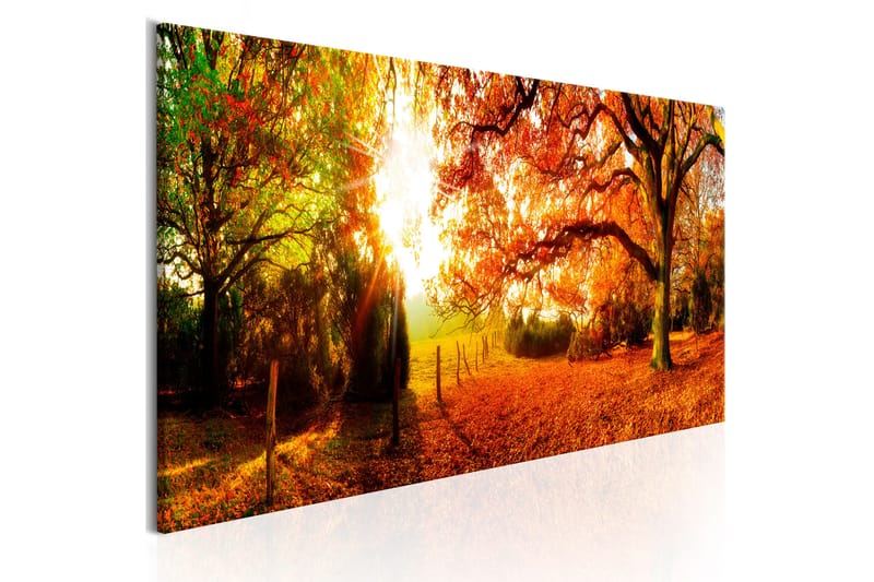 Tavla Magic of Autumn 135x45 - Artgeist sp. z o. o. - Canvastavla