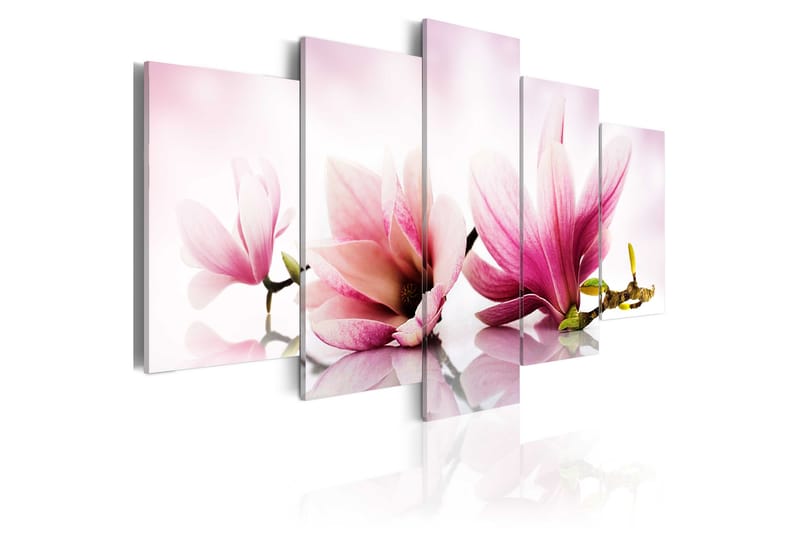 Tavla Magnolias Pink Flowers 200x100 - Artgeist sp. z o. o. - Canvastavla