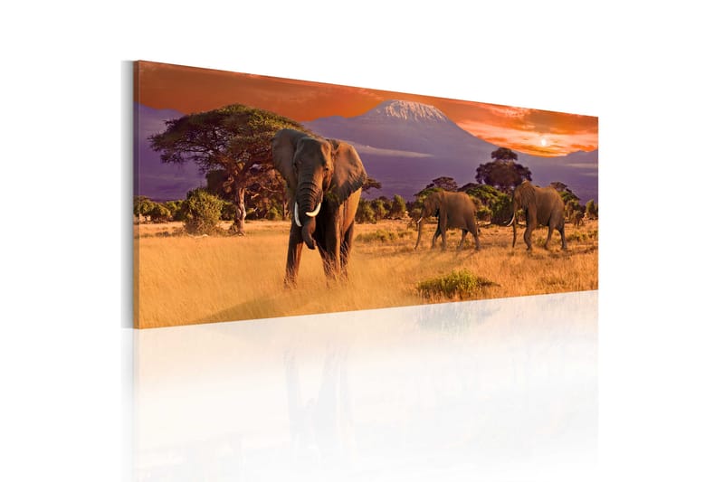 Tavla March Of African Elephants 120x40 - Artgeist sp. z o. o. - Canvastavla