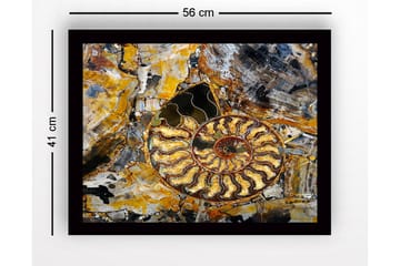 Tavla med Ram Flerfärgad - 41x56 cm - Inredning - Tavlor & posters - Canvastavla