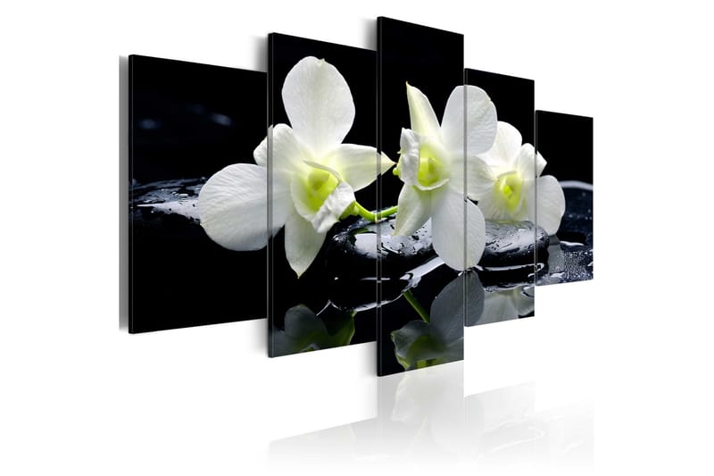 Tavla Melancholic Orchids 100x50 - Artgeist sp. z o. o. - Canvastavla