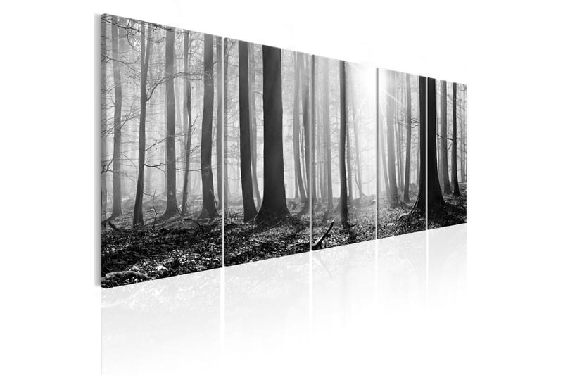 Tavla Monochrome Forest 200x80 - Artgeist sp. z o. o. - Canvastavla