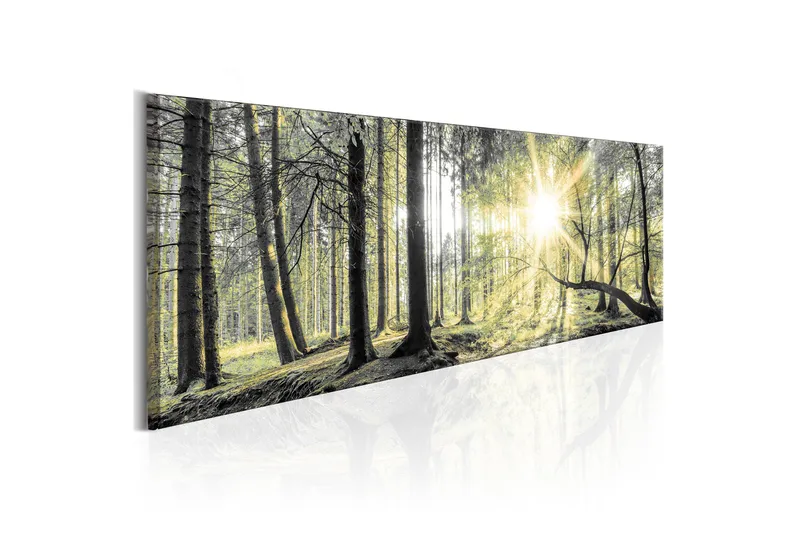 Tavla Morning Forest 120x40 cm
