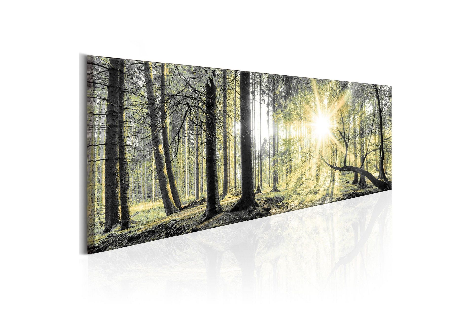 Tavla Morning Forest 135x45 cm -