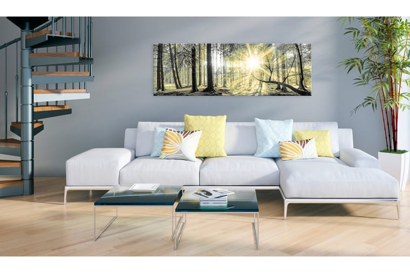 Tavla Morning Forest VALUE_MISSING_2 120x40 - Inredning - Tavlor & posters - Canvastavla