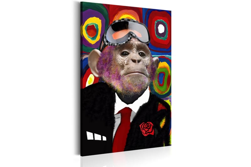 Tavla Mr. Monkey 80x120 - Artgeist sp. z o. o. - Canvastavla