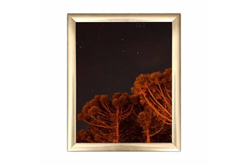 Tavla Nautical med Ram Flerfärgad - 23,5x28,5 cm - Inredning - Tavlor & posters - Canvastavla