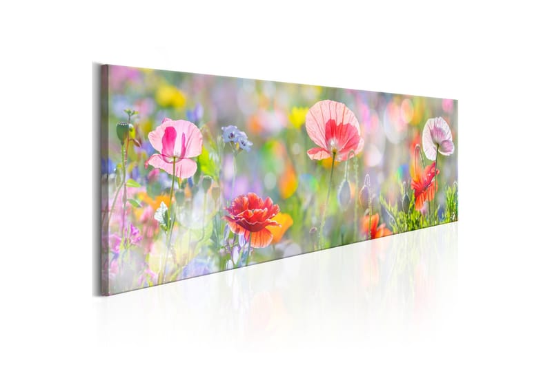 Tavla Rainbow of Morning Poppies 135x45 - Inredning - Tavlor & posters - Canvastavla