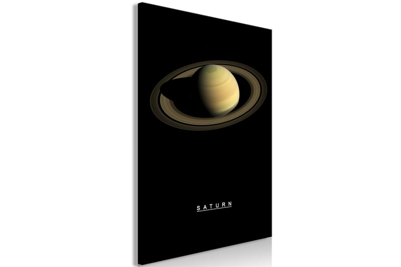 Tavla Saturn (1 Part) Vertical 60x90 - Artgeist sp. z o. o. - Canvastavla