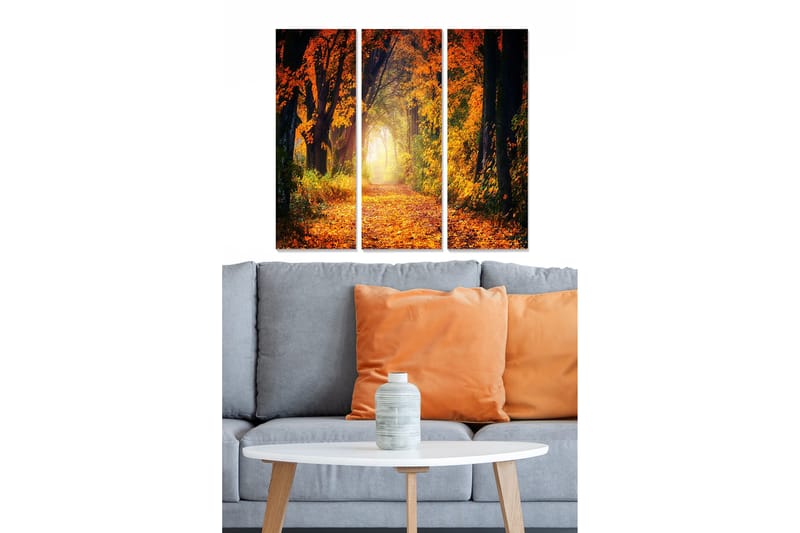 Tavla Scenic 3-pack Flerfärgad, 20x50 cm