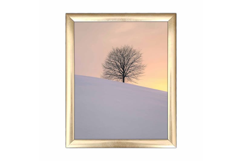 Tavla Scenic Med Ram Flerfärgad 23,5X28,5 - 23,5x28,5 cm - Inredning - Tavlor & posters - Canvastavla