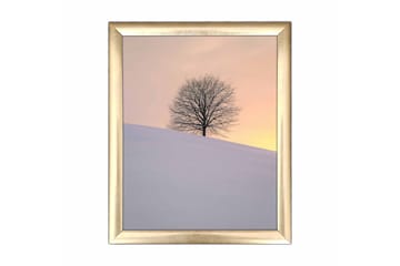 Tavla Scenic med Ram Flerfärgad - 23,5x28,5 cm - Inredning - Tavlor & posters - Canvastavla