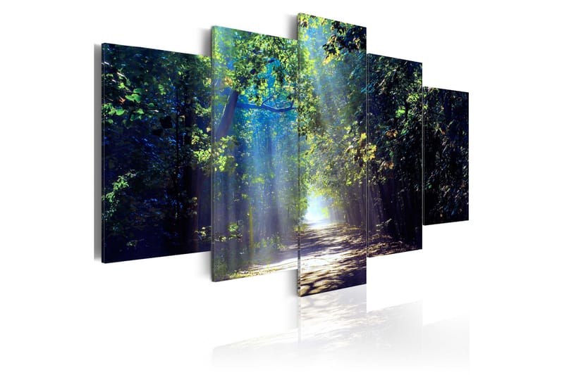 Tavla Sunny Forest Path 200x100 - Artgeist sp. z o. o. - Canvastavla