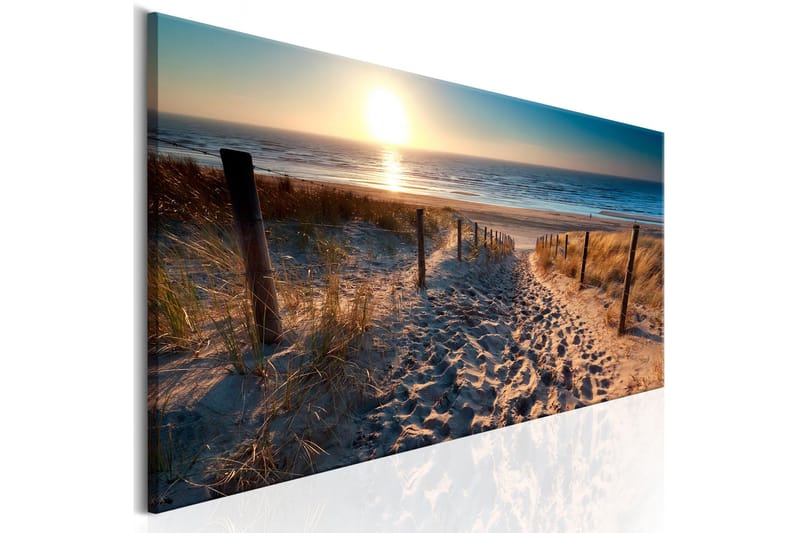 Tavla Sunset Path 150x50 - Inredning - Tavlor & posters - Canvastavla