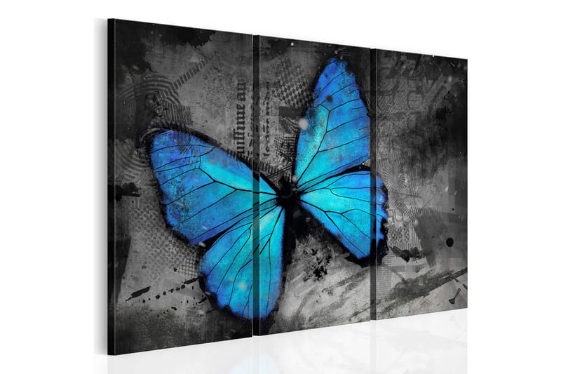 Tavla The Study Of Butterfly Triptych 120x80 - Artgeist sp. z o. o. - Canvastavla