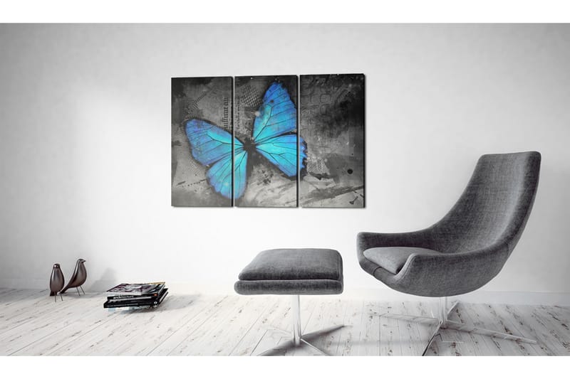 Tavla The Study Of Butterfly Triptych 120x80 - Artgeist sp. z o. o. - Canvastavla