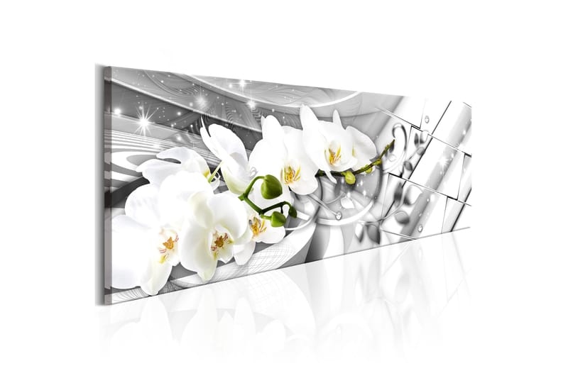 Tavla Twisted Orchids 120x40 - Artgeist sp. z o. o. - Canvastavla