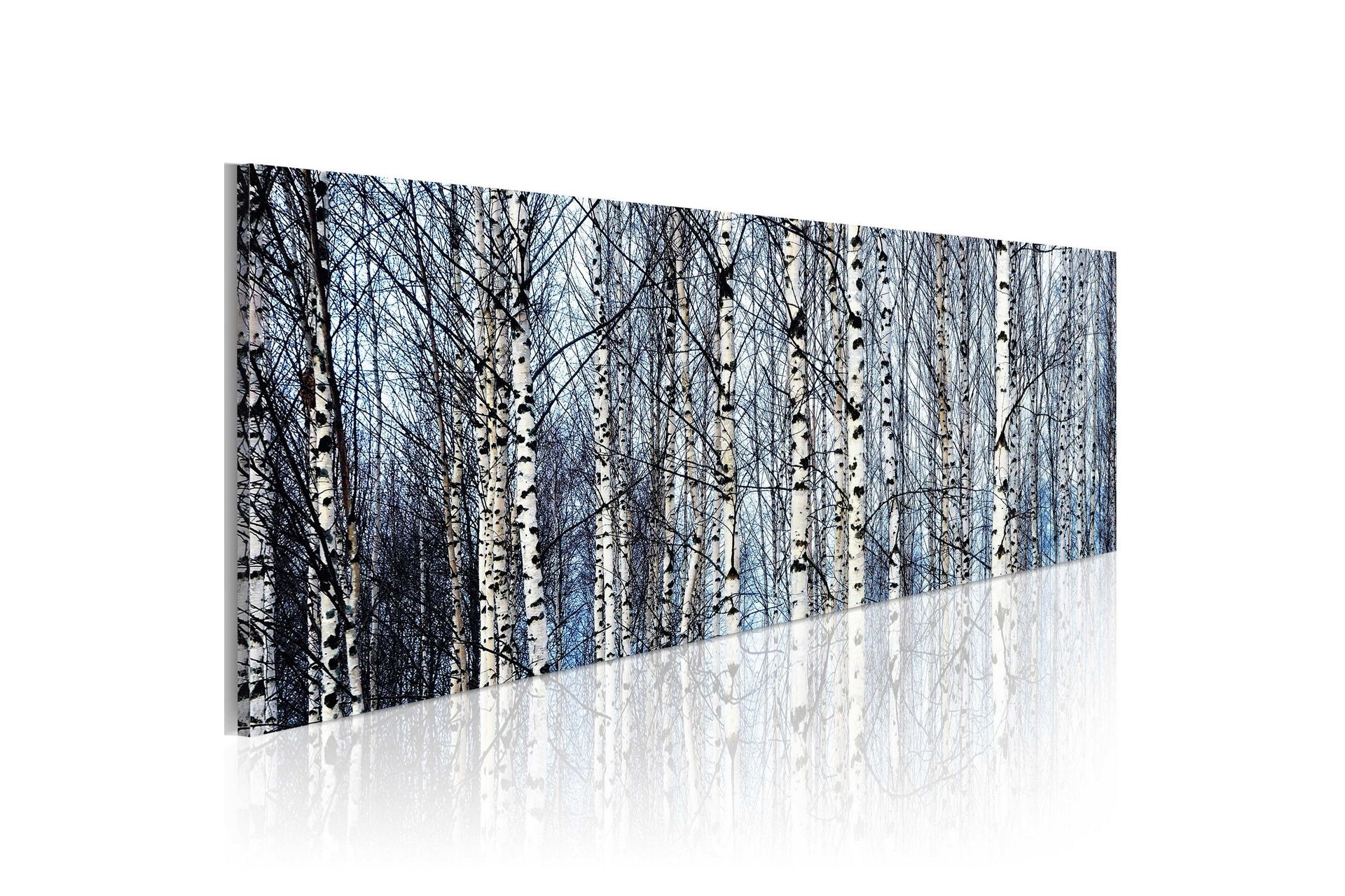 Tavla Vita Björkar 135x45 cm -
