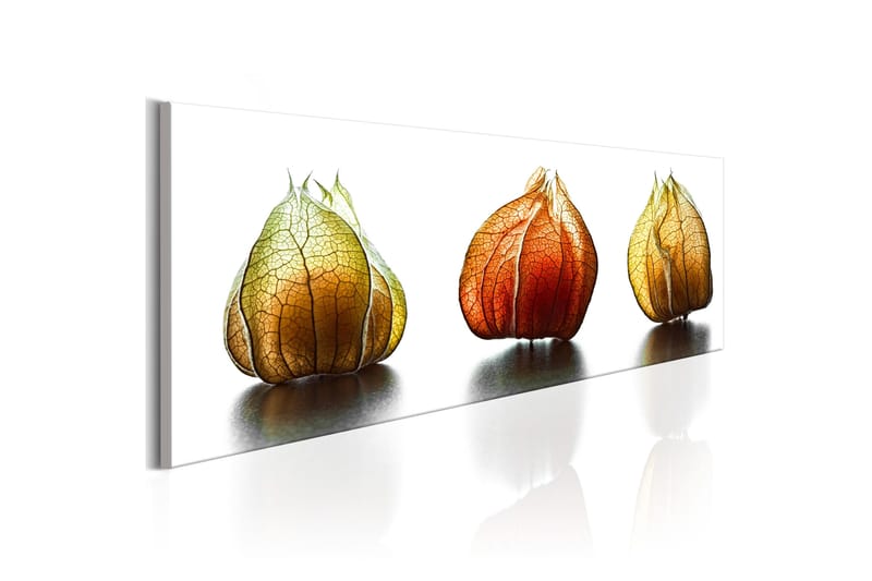 Tavla Winter Cherry 135x45 - Inredning - Tavlor & posters - Canvastavla