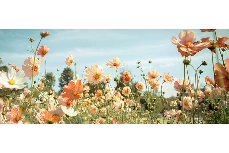 Tavla Yellow Meadow 125X50 Orange|Grön|Blå - 50x125 cm - Inredning - Tavlor & posters - Canvastavla