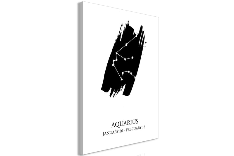 Tavla Zodiac Signs: Aquarius (1 Part) Vertical 60x90 - Artgeist sp. z o. o. - Canvastavla