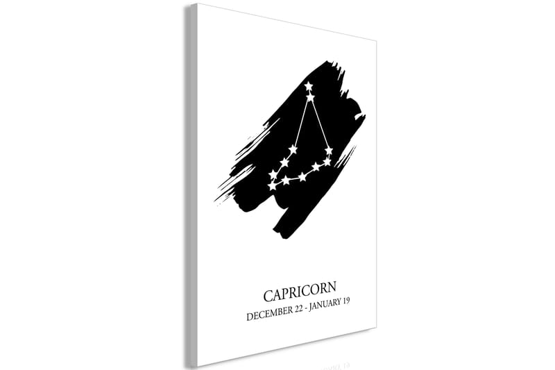 Tavla Zodiac Signs: Capricorn (1 Part) Vertical 60x90 - Artgeist sp. z o. o. - Canvastavla