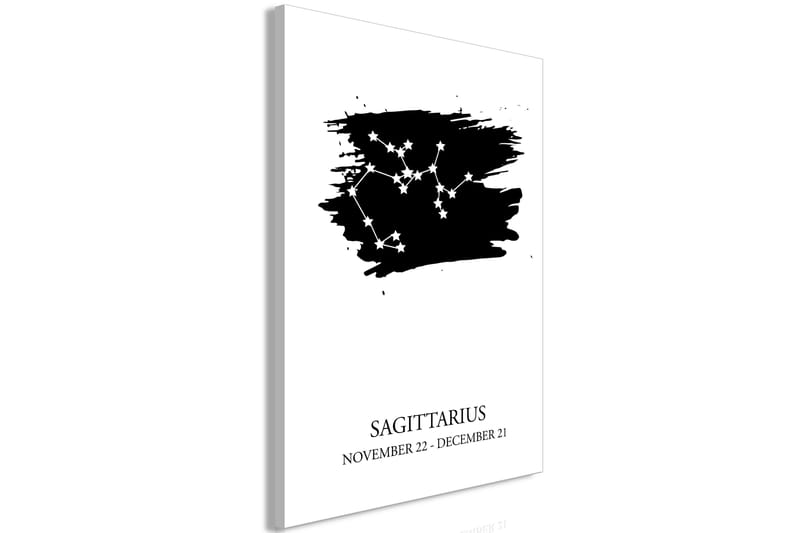 Tavla Zodiac Signs: Sagittarius (1 Part) Vertical 60x90 - Artgeist sp. z o. o. - Canvastavla