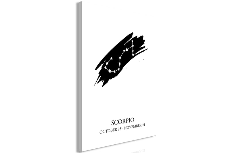 Tavla Zodiac Signs: Scorpio (1 Part) Vertical 60x90 - Artgeist sp. z o. o. - Canvastavla