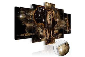 Tavla På Akryl Golden Lion 100x50