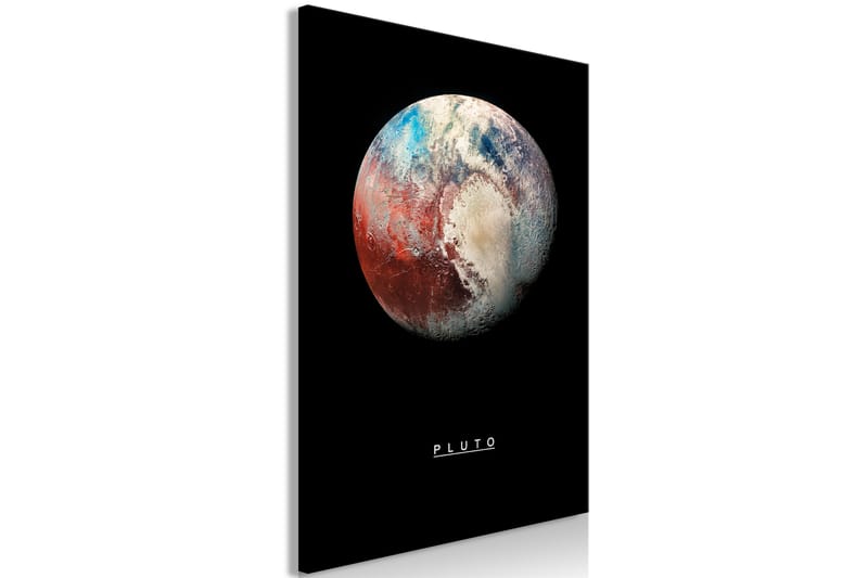 Tavla Pluto (1 Part) Vertical 60x90 - Artgeist sp. z o. o. - Canvastavla