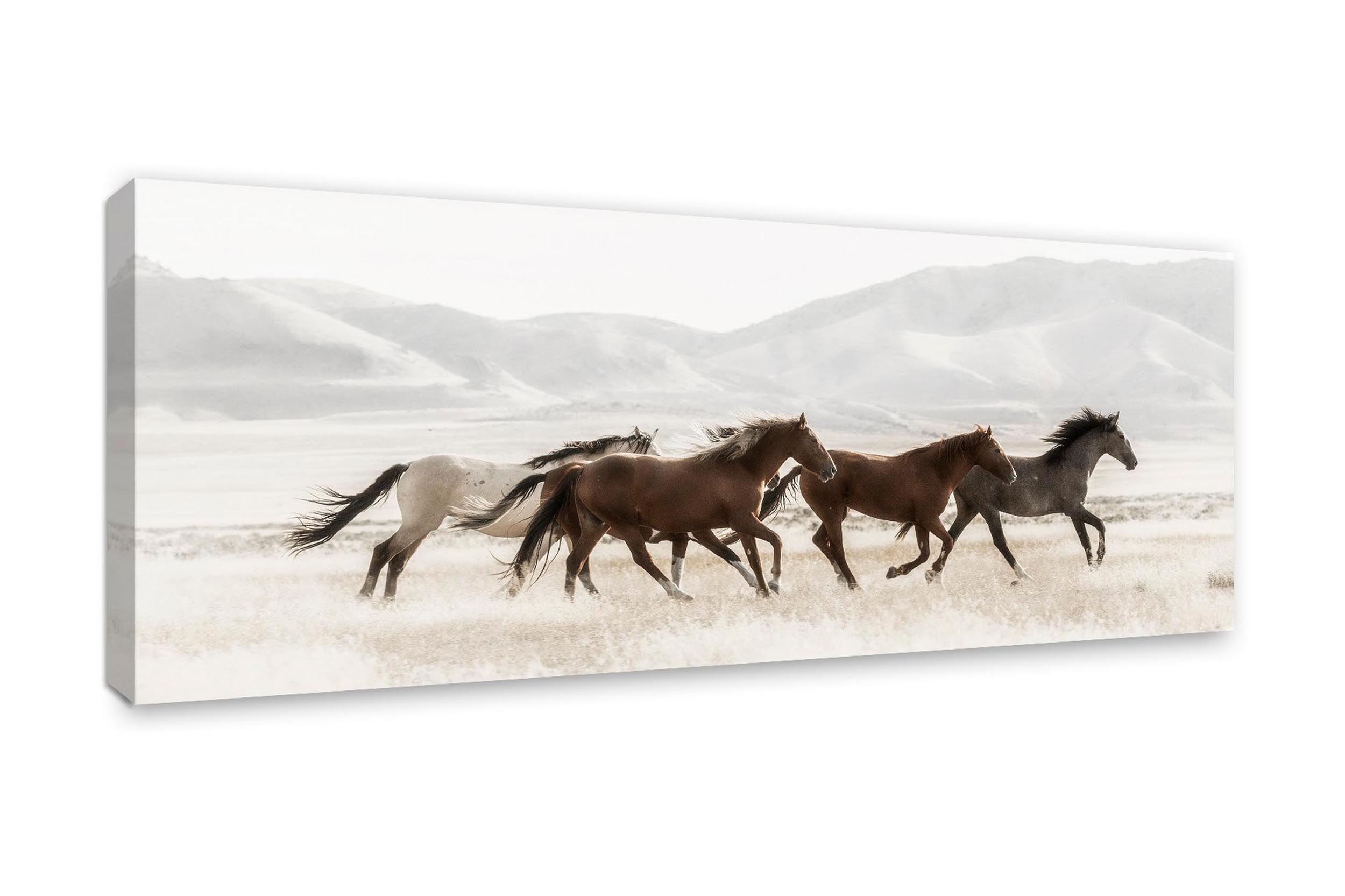 Tavla/Canvas Mustanger 60x150