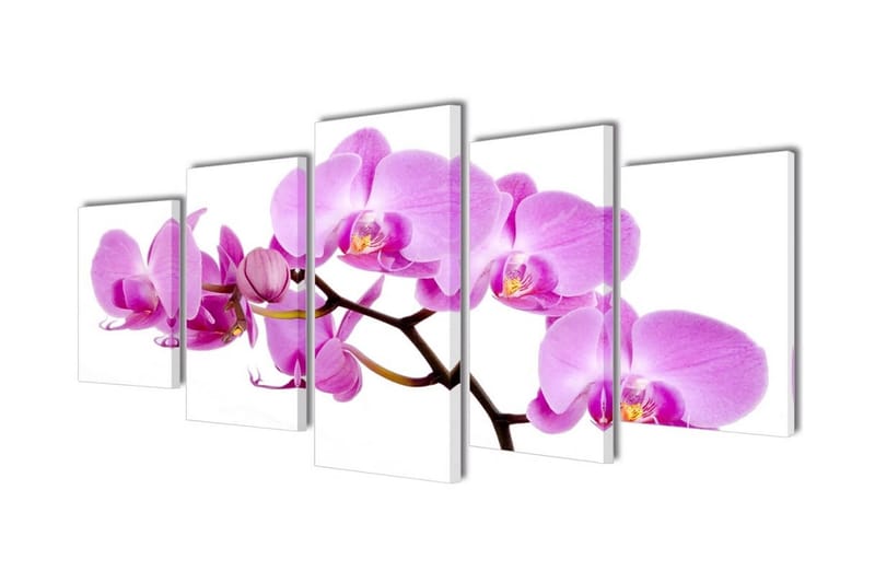 Uppsättning väggbonader på duk: orkidé 200x100 cm - Flerfärgad - Canvastavla