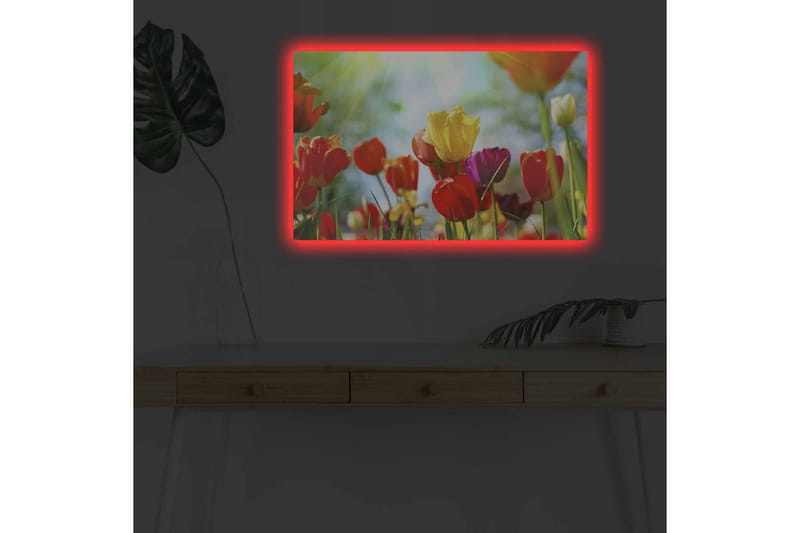 Väggdekor LED-belysning Canvas Målning - Inredning - Tavlor & posters - Canvastavla