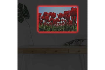 Väggdekor LED-belysning Canvas Målning - Inredning - Tavlor & posters - Canvastavla