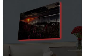 Väggdekor LED-belysning Canvas Målning - Inredning - Tavlor & posters - Canvastavla