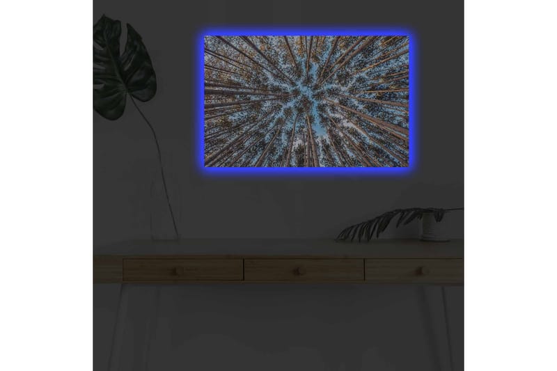 Väggdekor LED-belysning Canvas Målning - Inredning - Tavlor & posters - Canvastavla
