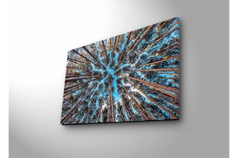 Väggdekor LED-belysning Canvas Målning - Inredning - Tavlor & posters - Canvastavla