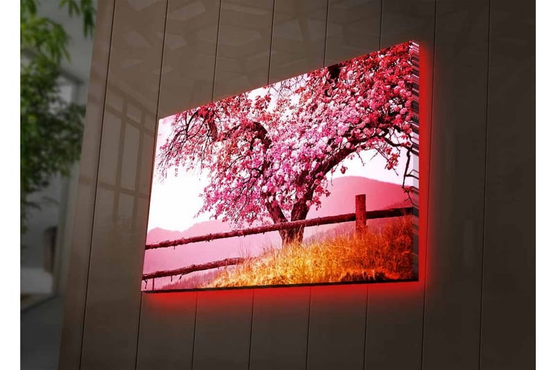 Väggdekor LED-belysning Canvas Målning - Inredning - Tavlor & posters - Canvastavla