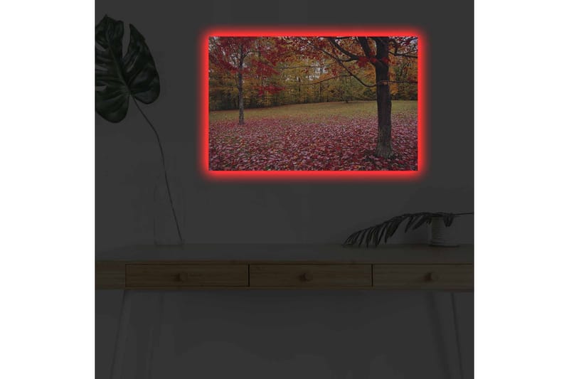 Väggdekor LED-belysning Canvas Målning - Inredning - Tavlor & posters - Canvastavla